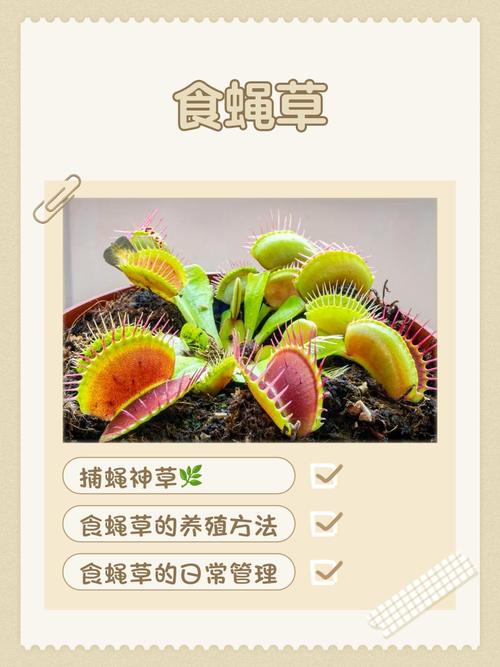 捕虫草如何写诗歌？-图2