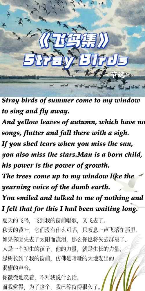 英语诗歌摘抄，藏着怎样的诗意？-图2