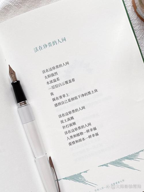 大学诗行，藏着青春何种模样？-图2