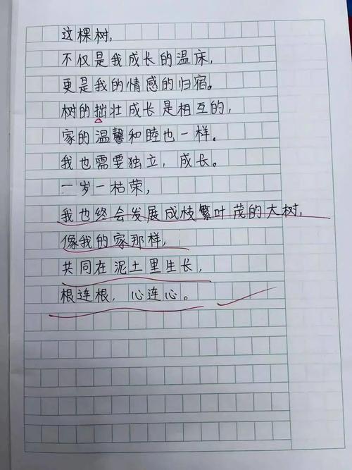 小树藏着怎样的诗意？-图1