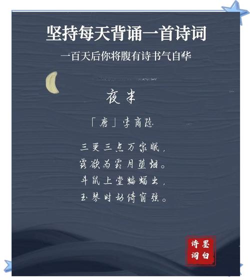 夜色入诗何所赞？-图2