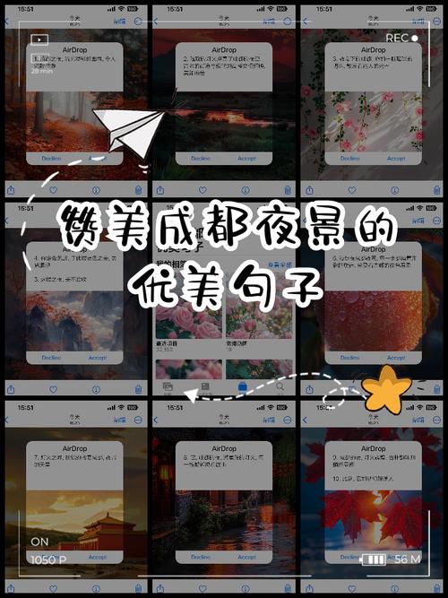 夜色入诗何所赞？-图3