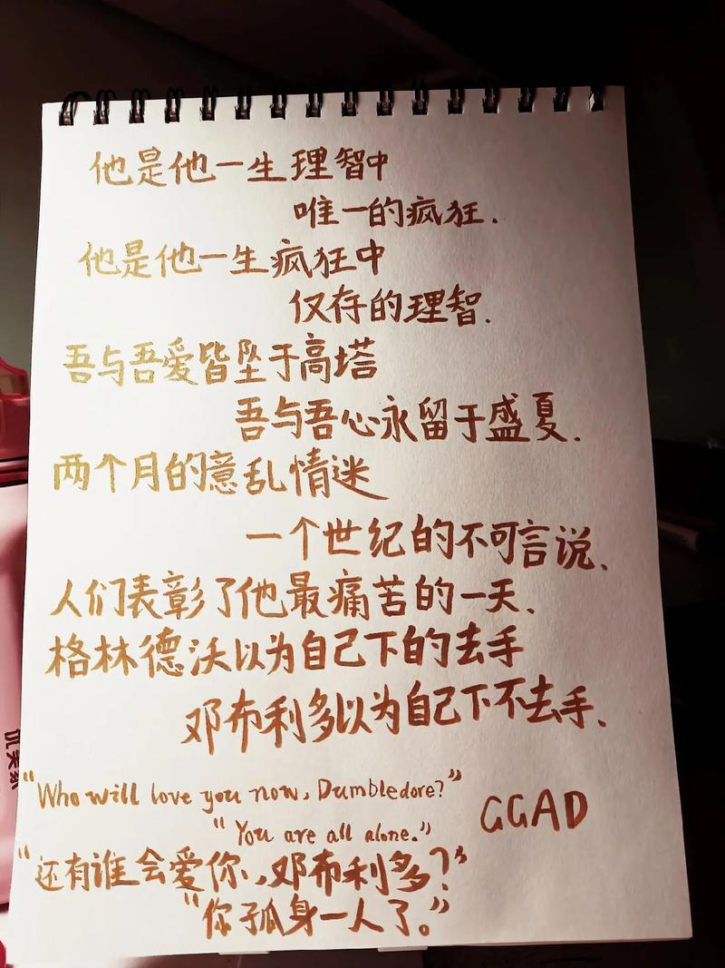 邓布利多最经典名言是哪句？-图3