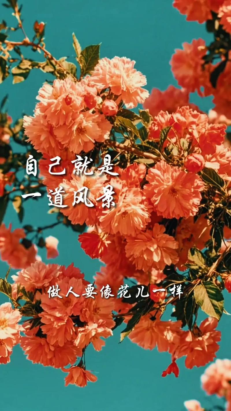 名言如何诠释绽放之美？-图1