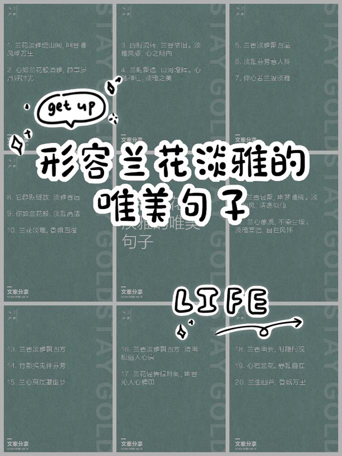 名言如何诠释绽放之美？-图2