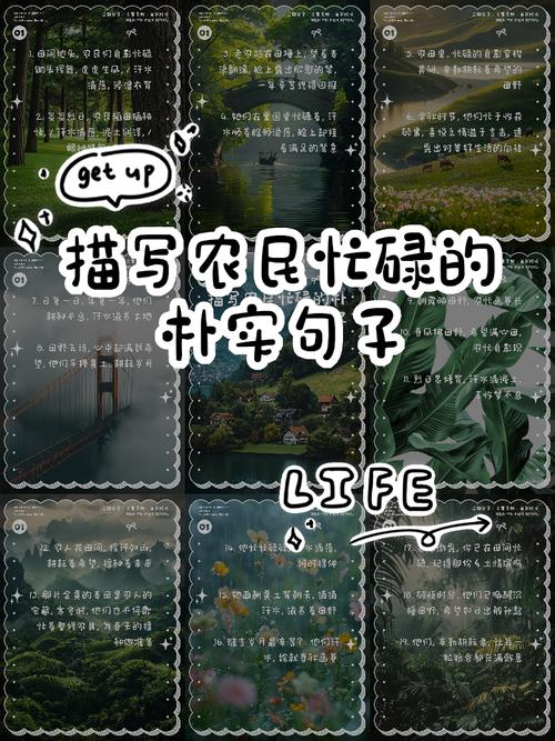 朴素名言有何深意？-图1