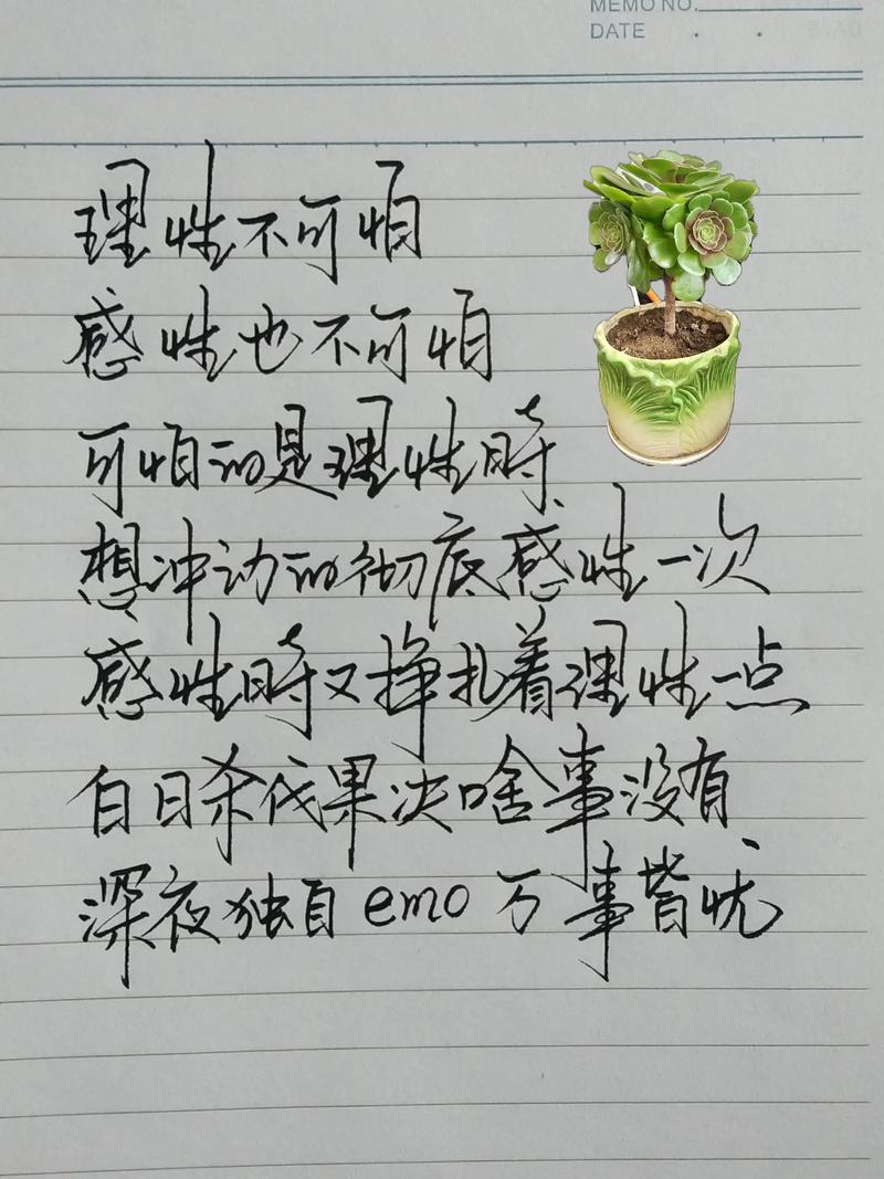 感性名言，如何点亮人生？-图2