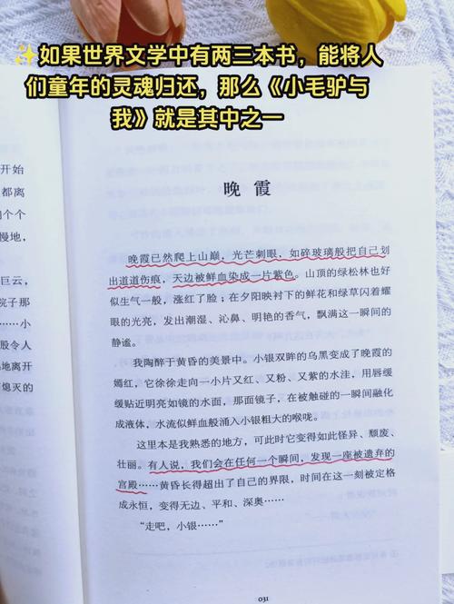 诗歌，如何回归本真？-图2