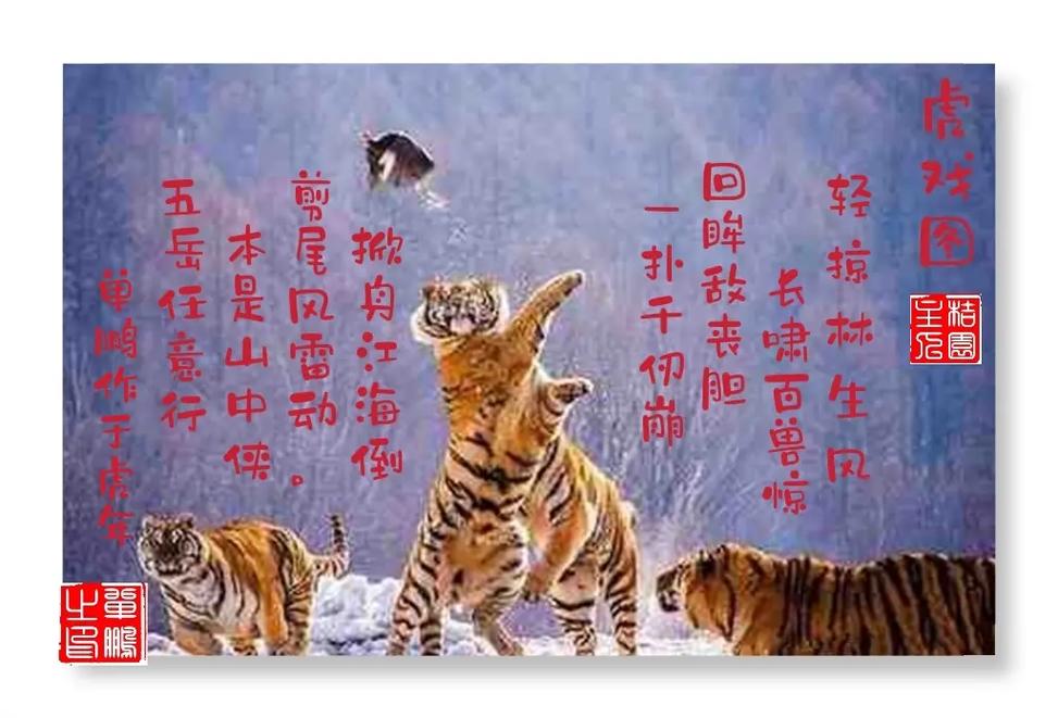 虎啸诗行何处寻?-图2 虎啸诗行何处寻?-图2