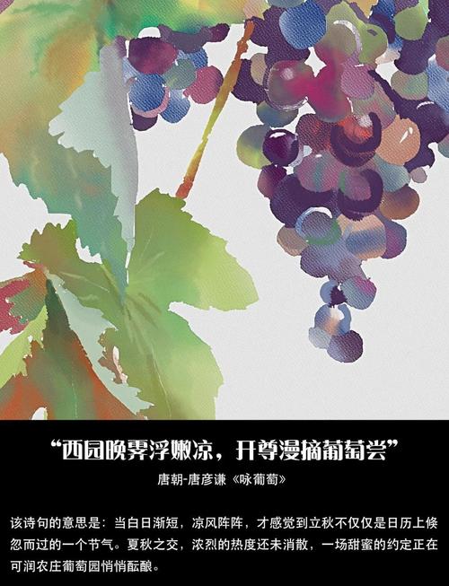 千种醉诗歌-图1