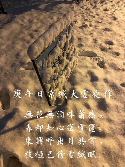 北京诗中藏着怎样的城魂？-图3