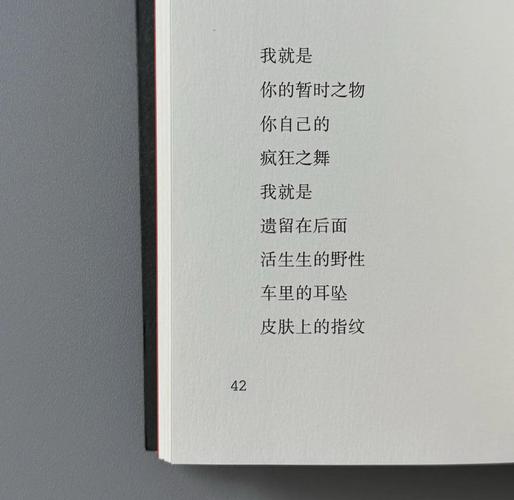 诗歌酷，何为酷？-图2