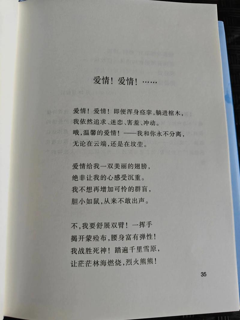 诗与语言，如何共生？-图2