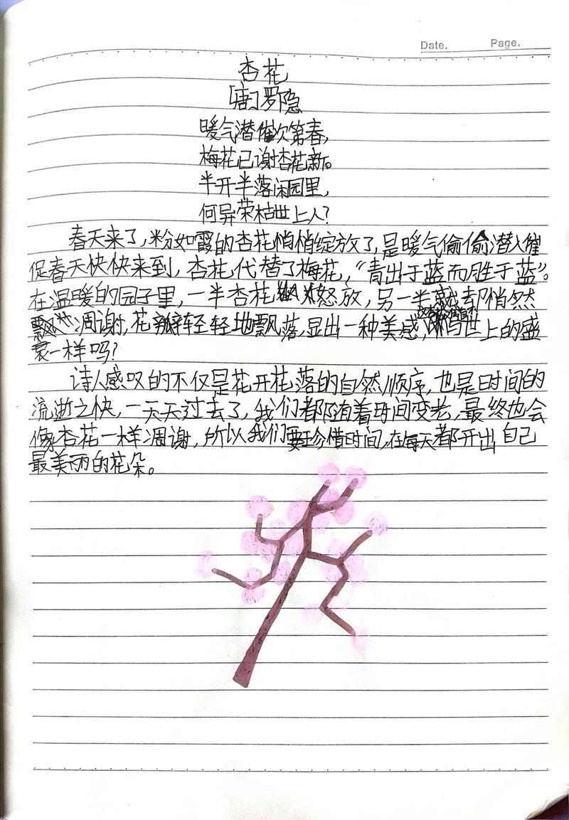 杏诗何意?-图1 杏诗何意?-图1