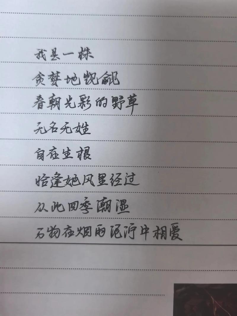给我诗歌，为何？-图1